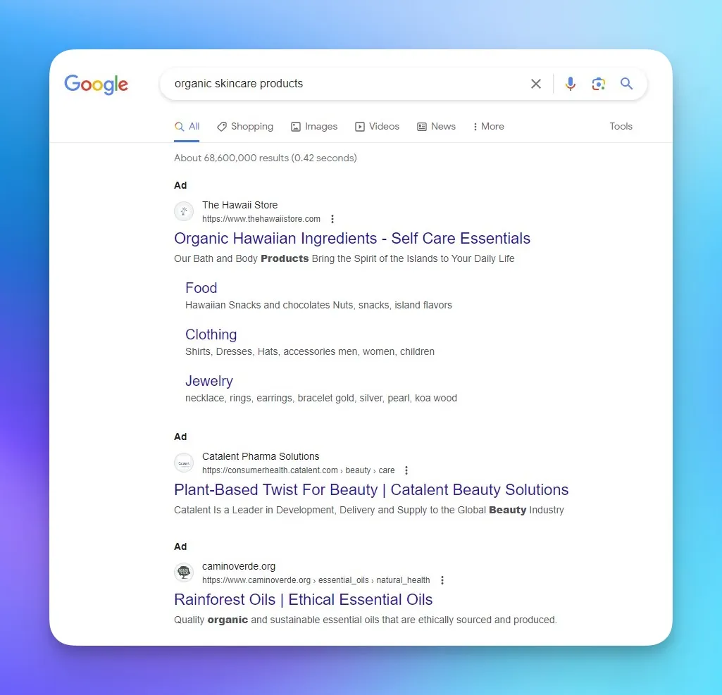 Google ads example on SERP
