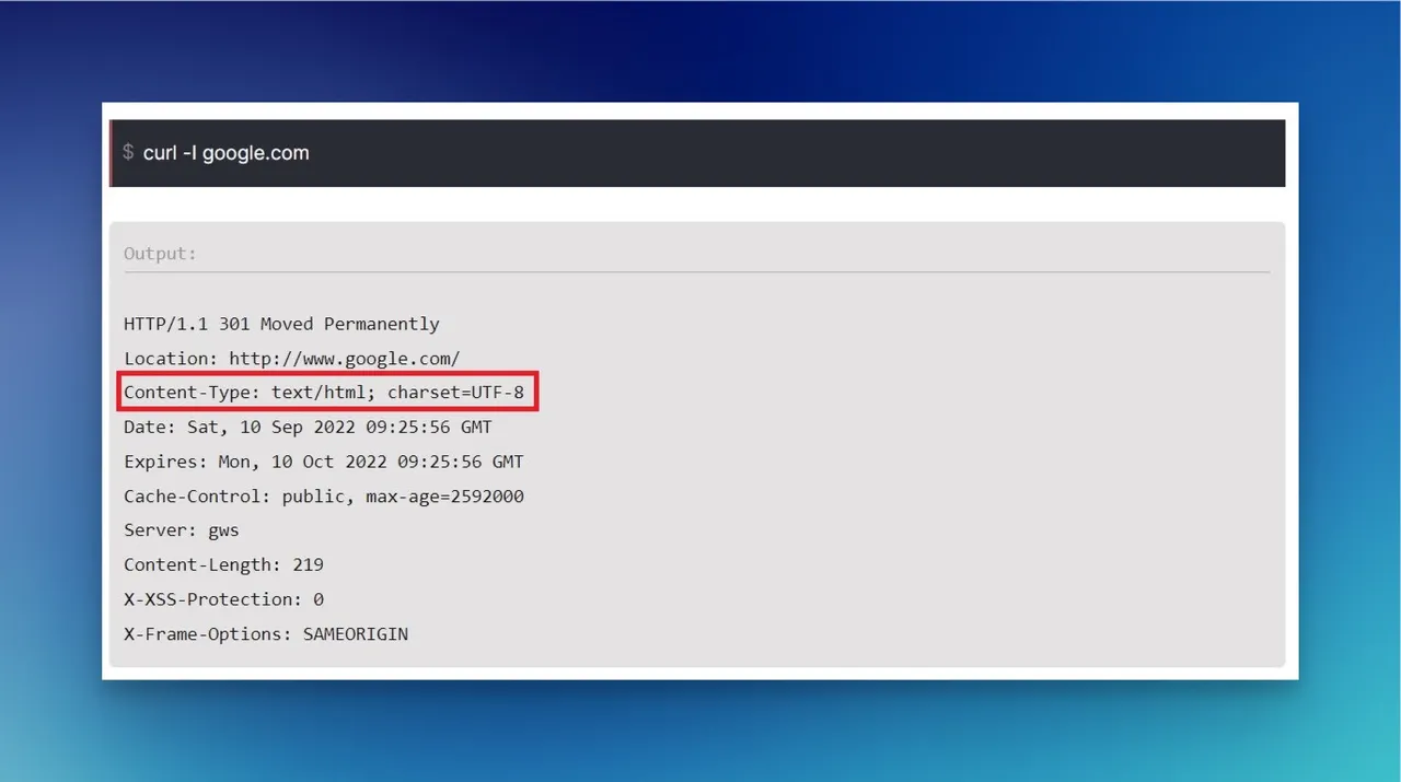 checking http content type by using terminal