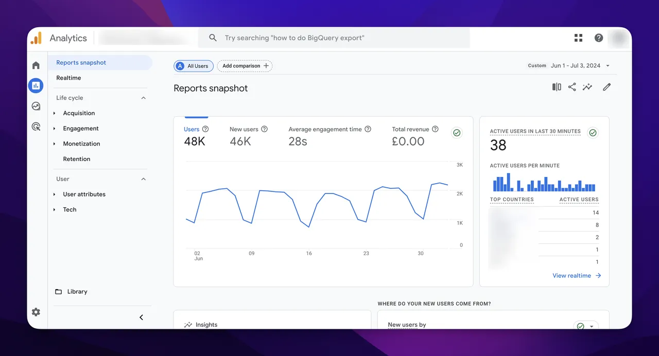 google analytics reports snapshot