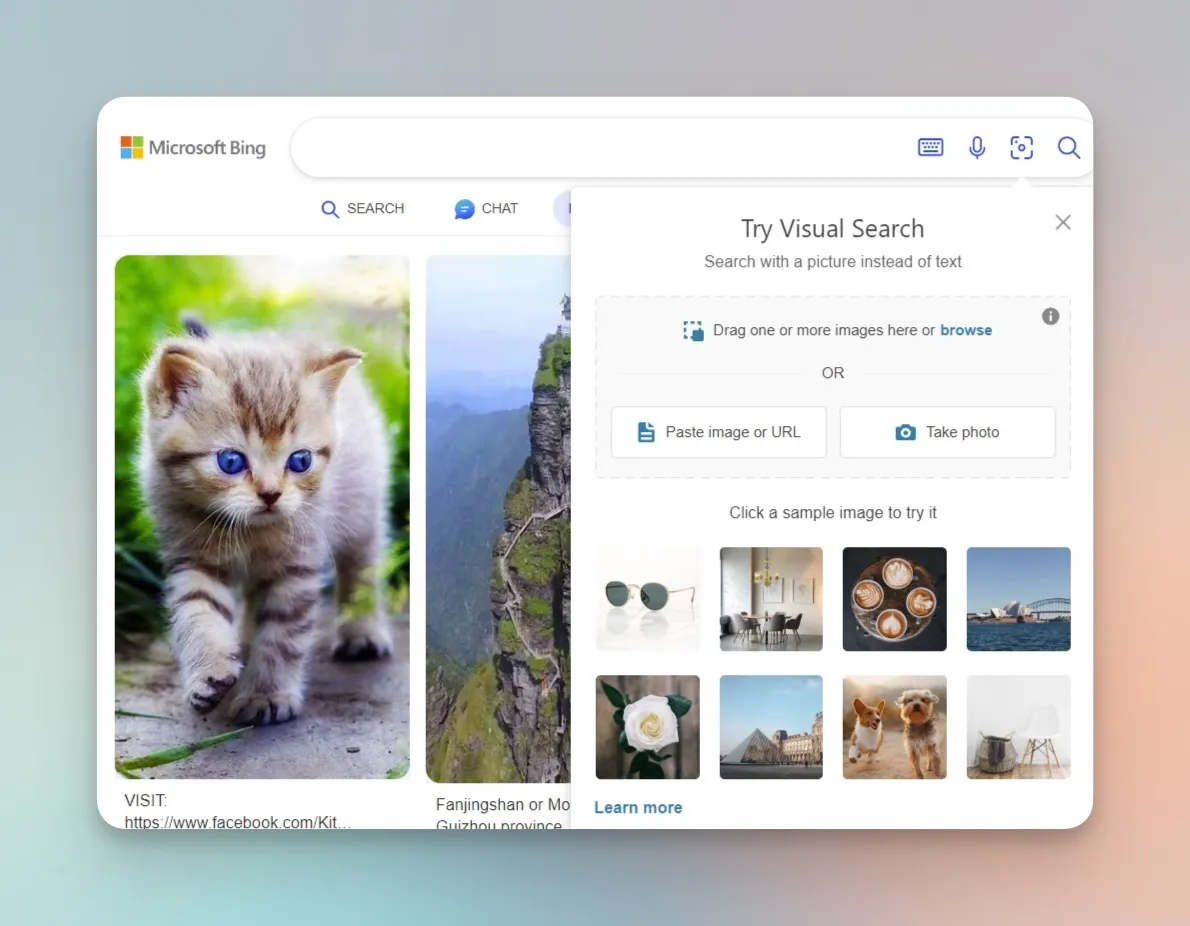 searching for an image on bing
