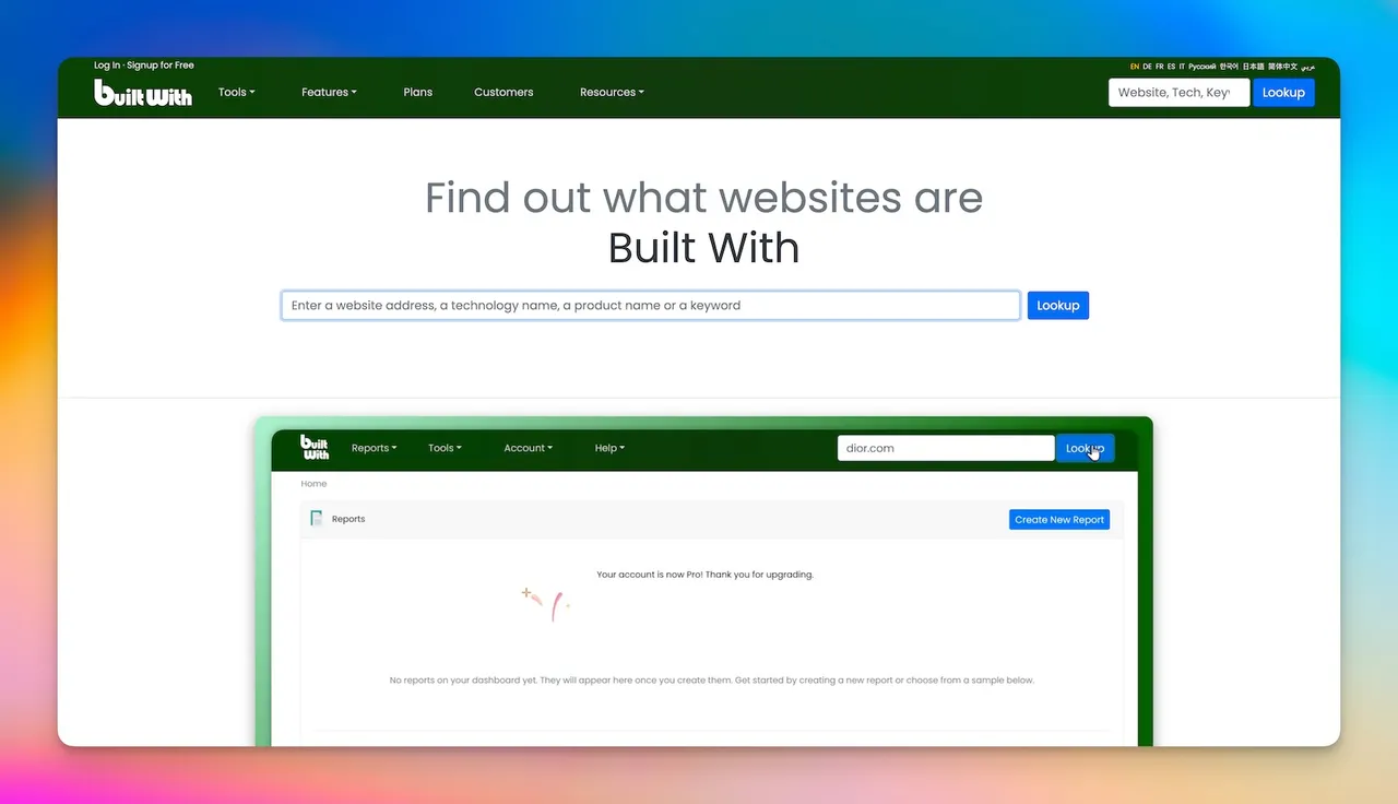 BuiltWith Technologie-Profilbericht als Wappalyzer-Alternative