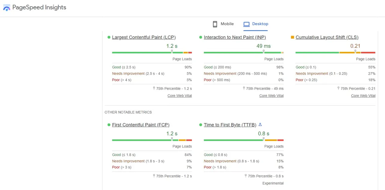 Google PageSpeed Insights Bericht
