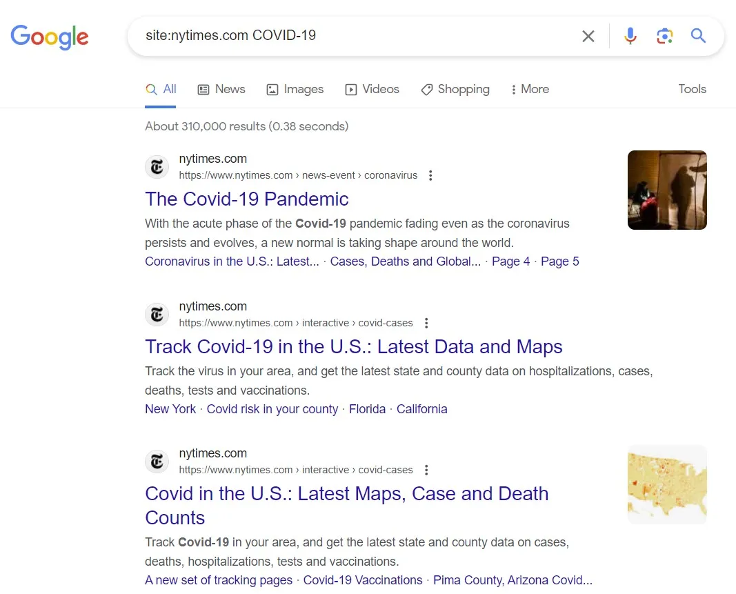 site search operator restricting Google results to a single domain